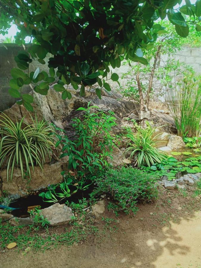 Sidhangana Home Stay Anuradhapura Exterior photo