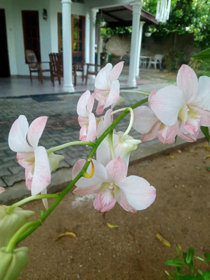 Sidhangana Home Stay Anuradhapura Exterior photo