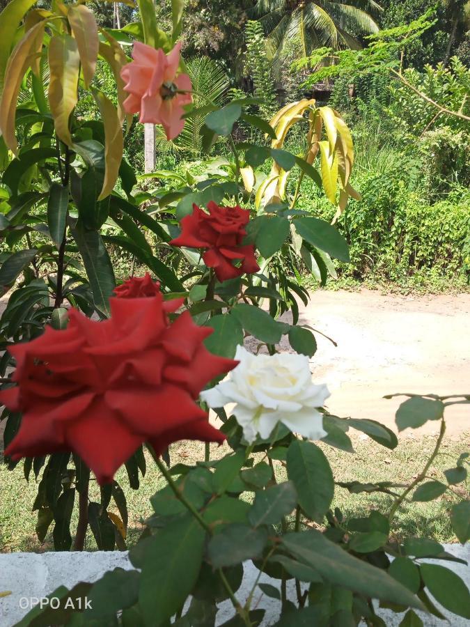 Sidhangana Home Stay Anuradhapura Exterior photo
