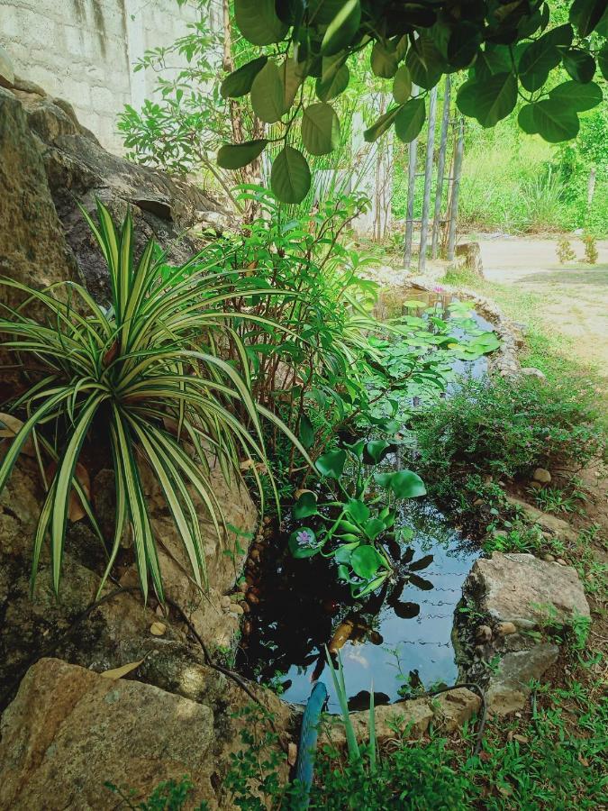 Sidhangana Home Stay Anuradhapura Exterior photo