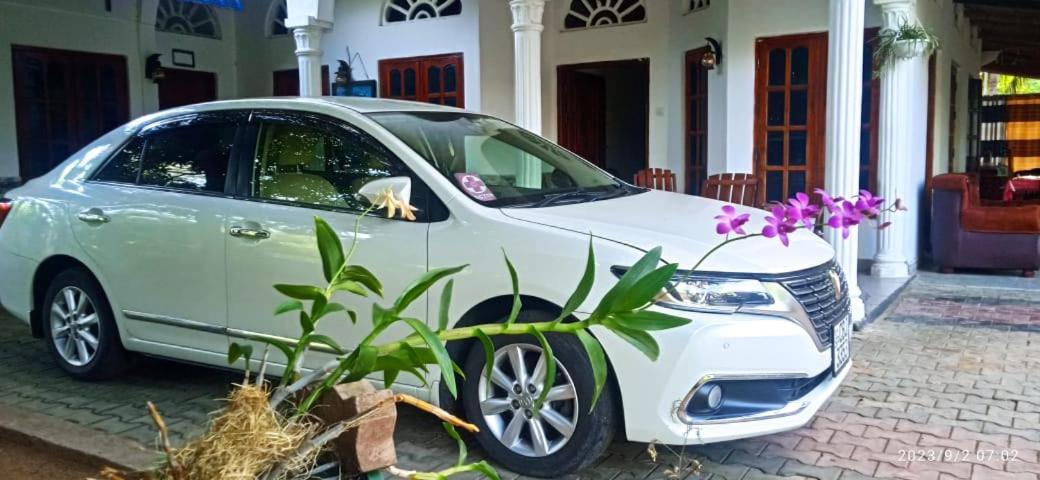 Sidhangana Home Stay Anuradhapura Exterior photo