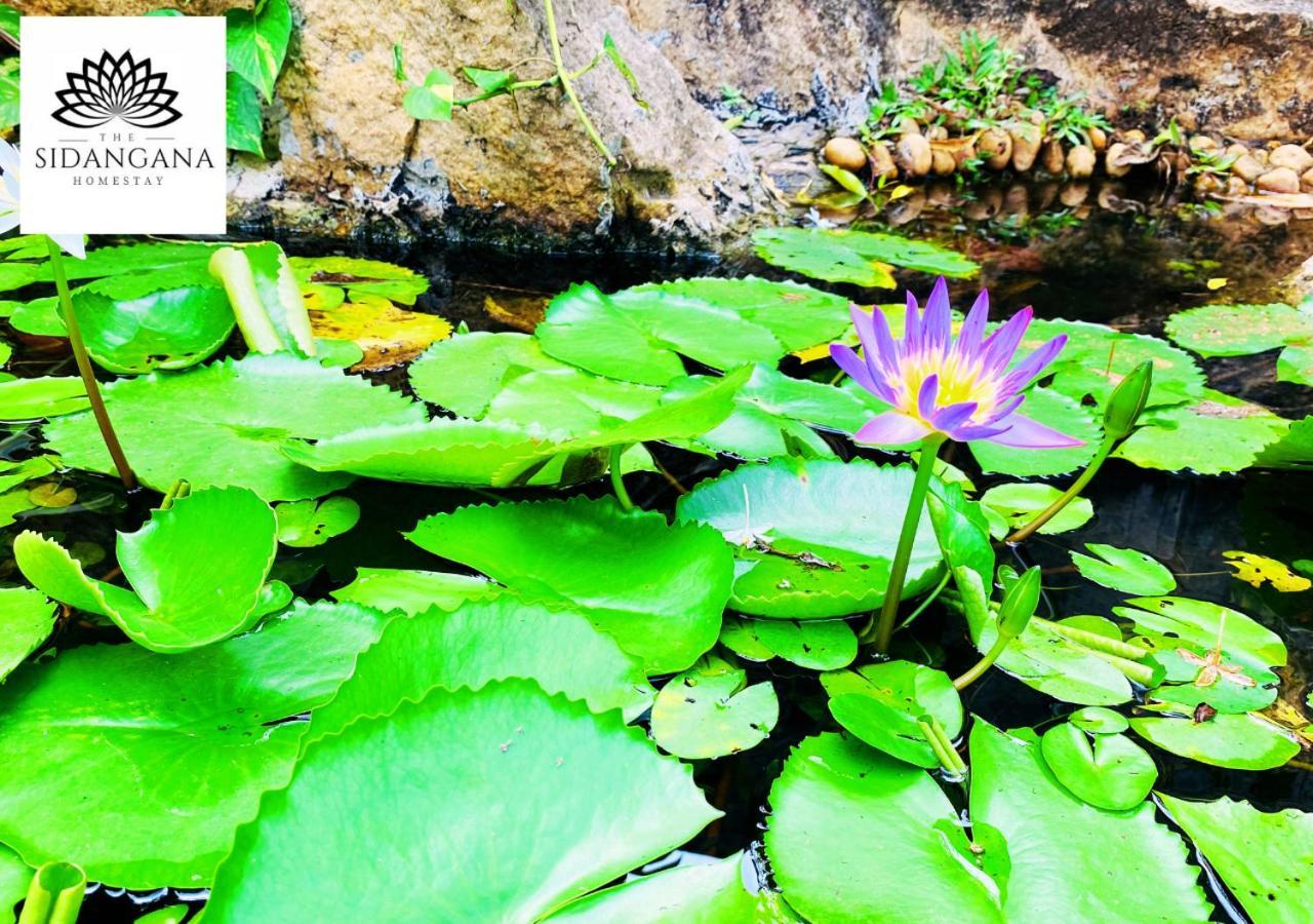 Sidhangana Home Stay Anuradhapura Exterior photo